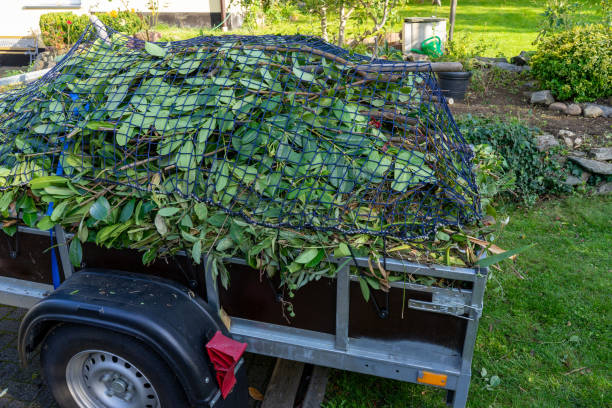 Professional Junk Removal Services in Ferry Pass, FL